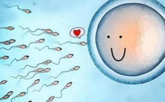 做第三代供卵试管婴儿从开始到出生要注射多少次