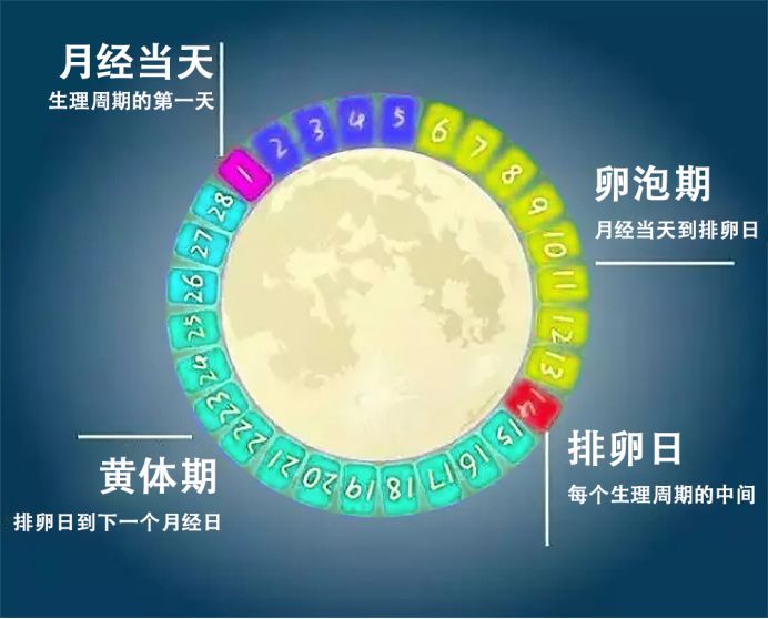 供卵试管婴儿生男孩的几率有多大-供卵试管婴儿生男孩的几率大吗？