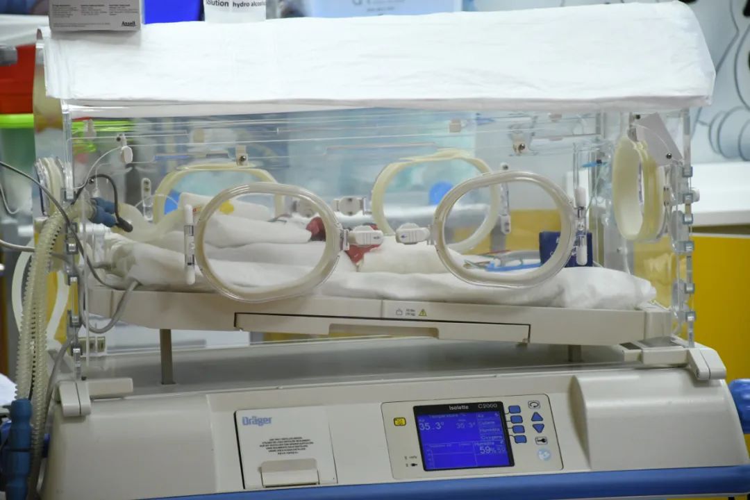 关于赠卵试管代生代怀的神话，你知道多少？