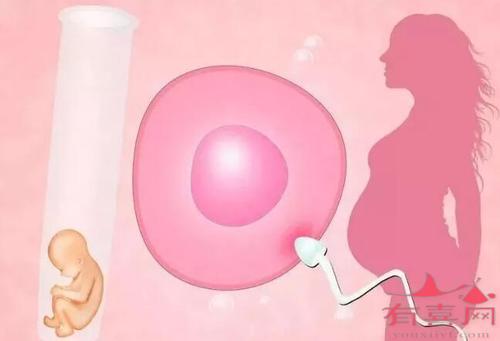 胚胎破碎会影响借卵试管代生代怀的成功率吗