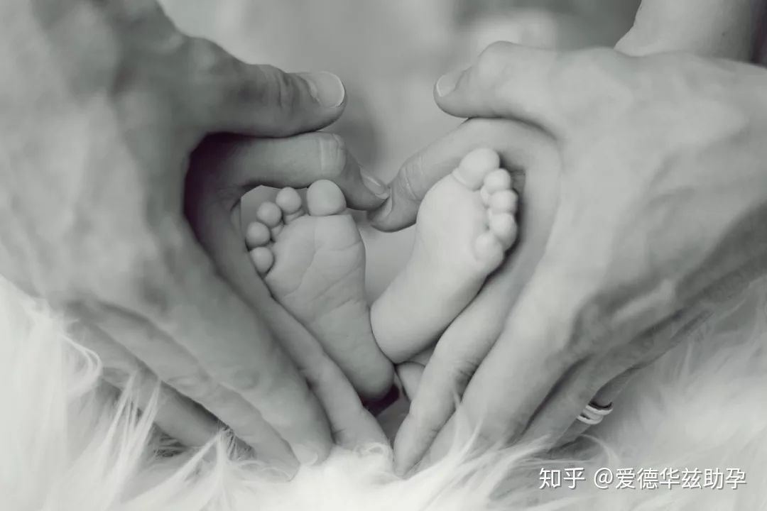 长春做供卵试管哪里代生的费用大概是多少