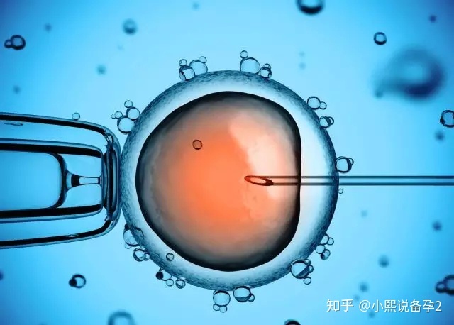 子宫肌瘤供卵做生子供卵试管实现生孩子的梦想并不难!超长的方案可以帮助