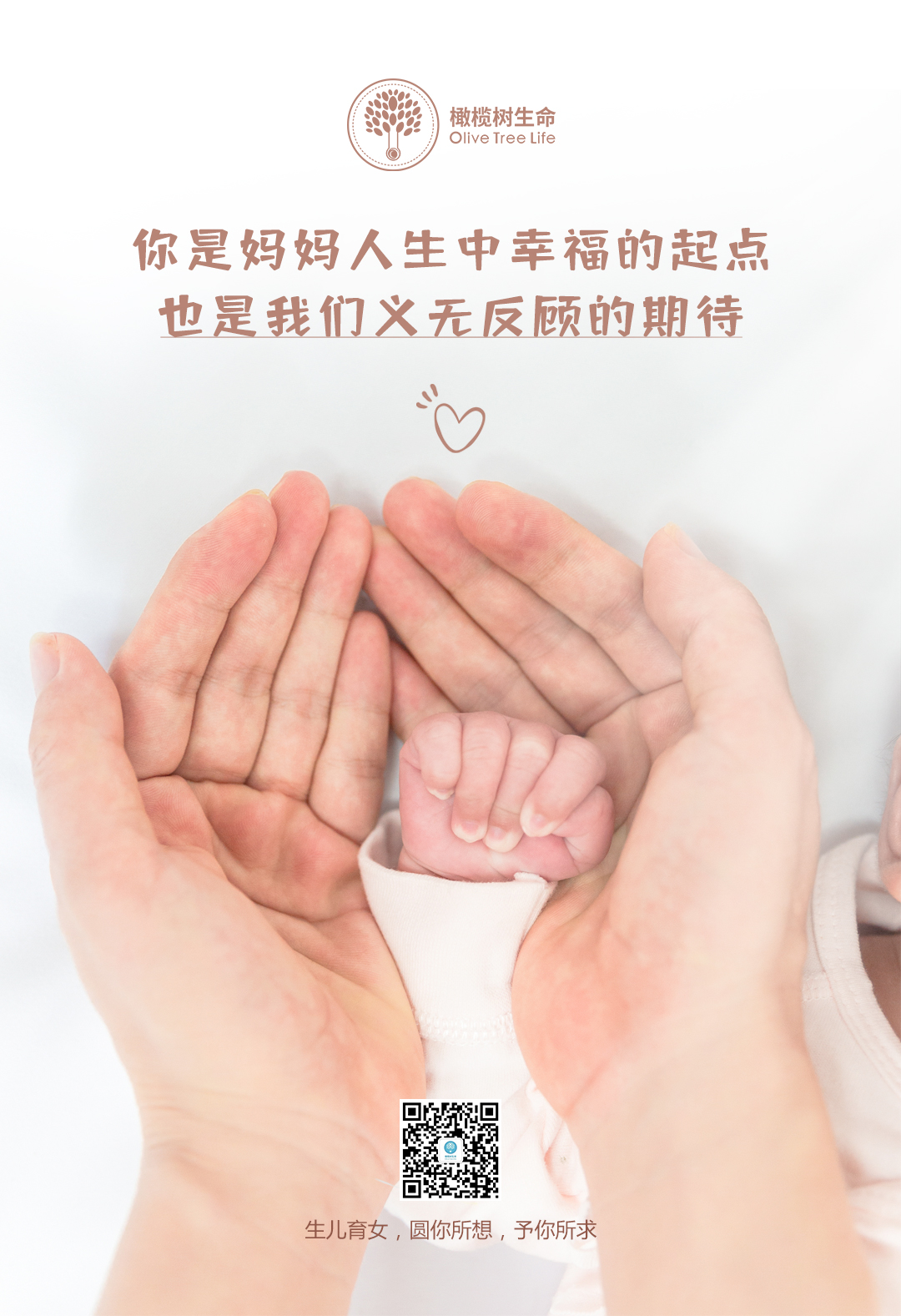 供卵做借卵试管自怀当天需要做什么？