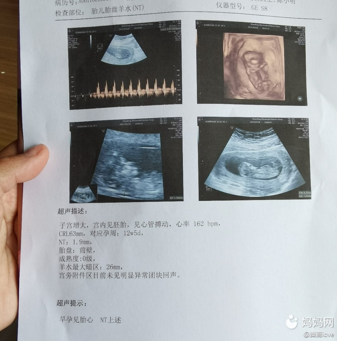 基因问题做赠卵试管婴儿可以吗