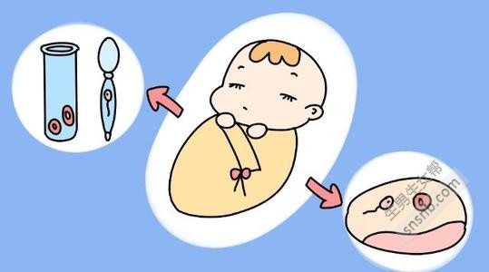三代供卵试管囊胚检测要多久