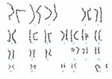 三代供卵试管囊胚检测要多久