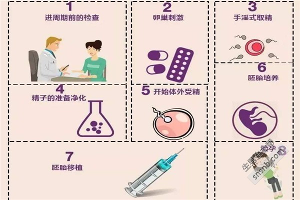 三代供卵试管囊胚检测要多久