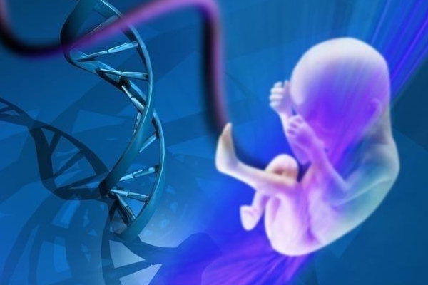 郑州试管婴儿价钱优孕行l可以不