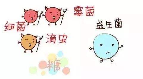 试管婴儿女方怎么取卵