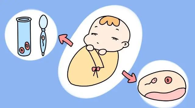 六院可以做供卵吗(河南郑州六院试管建档时间)