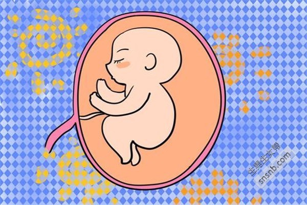 在国内试管代怀合法吗生殖方式属于_在国内单身代怀中心属于合法吗？