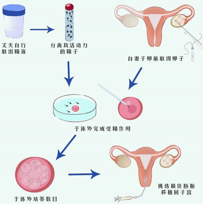 医生请问有嵌合体的胚胎还可以移植吗（成功率高吗？）