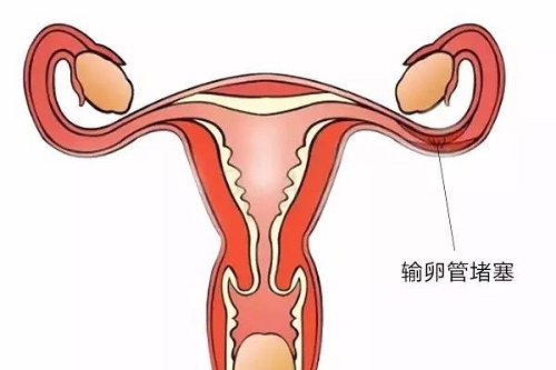 河南郑州安宝供卵（河南郑州安宝大厦是属思明）