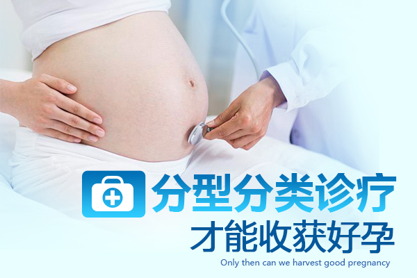 河南试管地下机构（成功试管代怀方案怎么都存活不了）