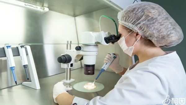 郑州哪个医院代生孩子违法吗婴儿