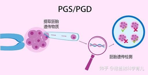 2024河南军区总医院王站长试管代怀成功率一览,附试管成功经验分享