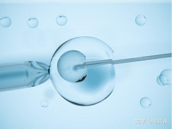 通过同性供卵代怀技术生育双胞胎宝宝的可能性大吗