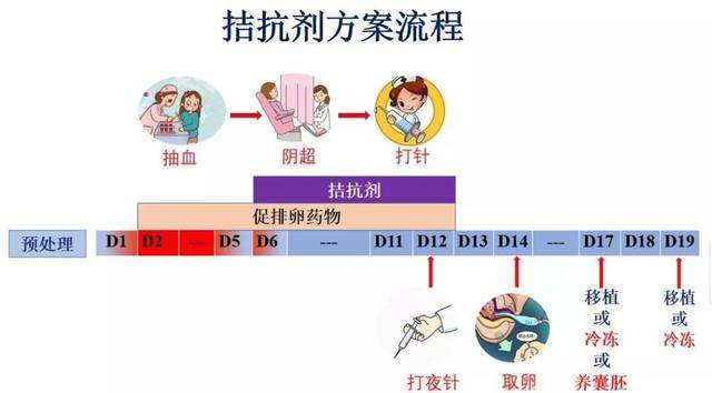 河南郑州鼓楼国内借卵试管代怀公司攻略