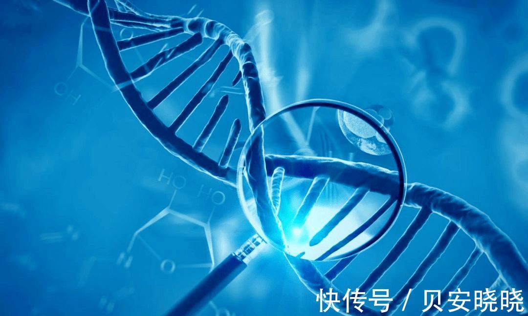 乙肝能去河南哪家试管代怀公司最好婴儿吗乙