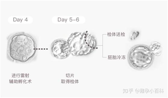 2024年国内供卵试管代怀服务价格