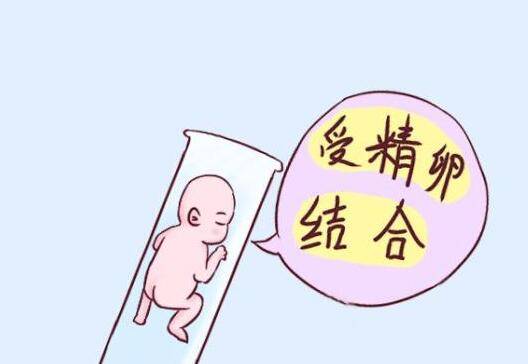 大夫你好我今天刚做了夫精人工授精手术请问