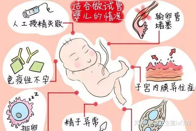 试管生子助孕机构胚胎移植后的反应有哪些（代生子价格胚胎移植后的正常症状表现.）