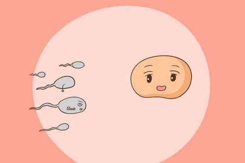 河南郑州的郑州大学孙逸仙纪念医院能不能三代供卵试管男孩