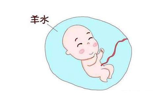 “土豪”妈咪分享20万郑州生子全过程