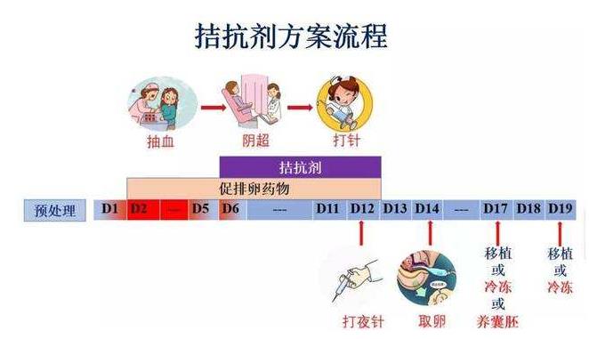 2024河南郑州市一人民代生女孩价格婴儿价目表,总费用明细参考