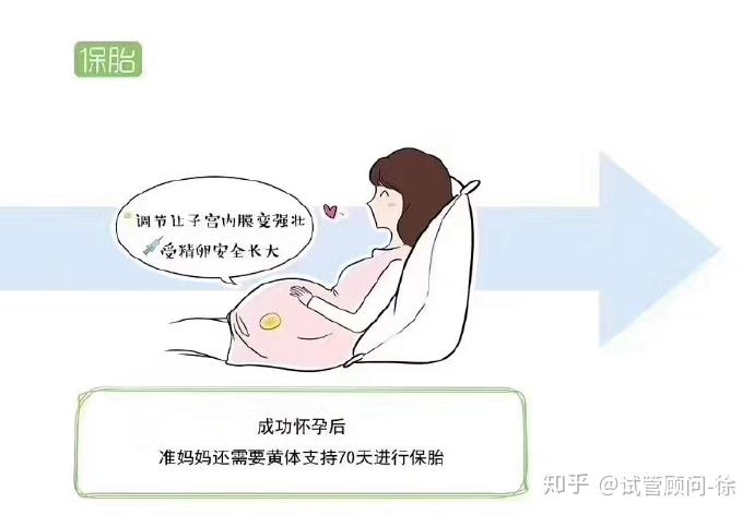 2024河南郑州市一人民代生女孩价格婴儿