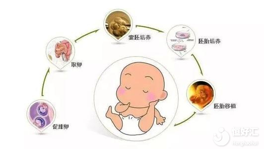 45岁河南代生男宝包成功二胎被骗,成功率都是骗人的+_代生选性别中心移植前注意事项_供胚移植