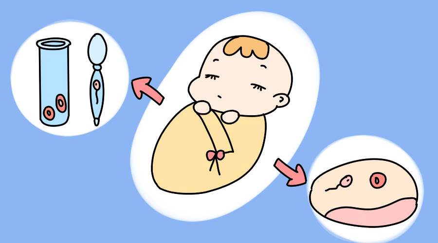 研究表明臭氧影响生育,生育困难请做郑州试管代怀哪里靠谱