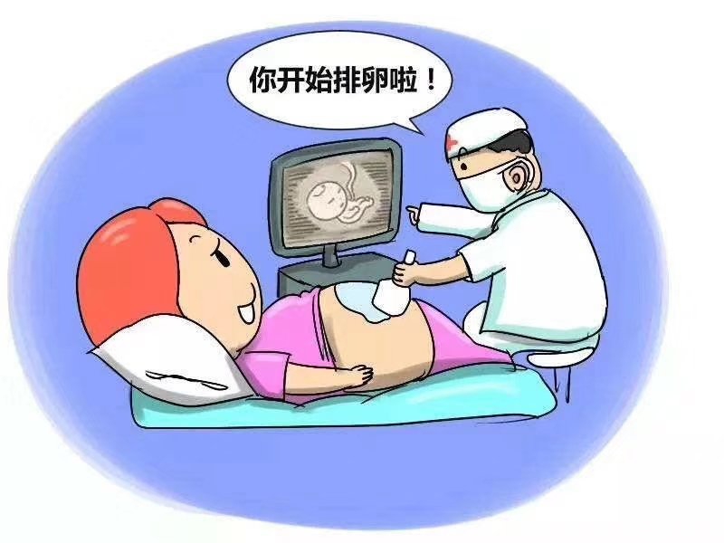 卵子质量不好做郑州失独要再生孩子有可能成功吗