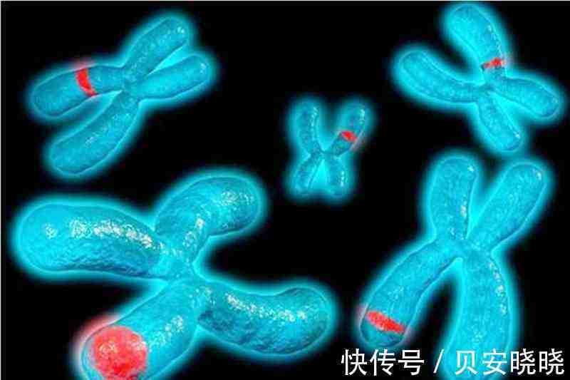 公立医院做试管着床有什么感觉吗+生殖助孕医院排名着床了是什么感觉