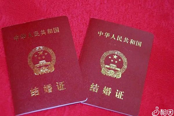 2024年河南郑州试管供卵代生机构囊胚移植做得最好的是哪里（附更新试管费用及成功率）